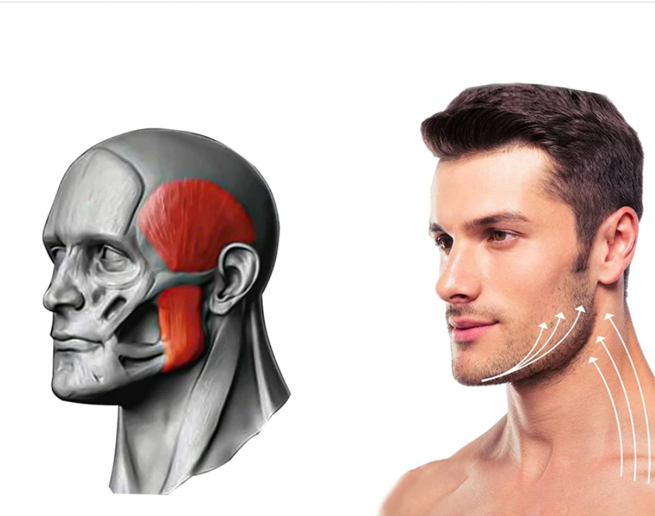 JAWLINE Exerciser